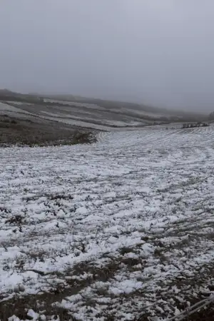 Montalegre vestiu-se de branco: fomos perceber como o município responde à queda de neve
